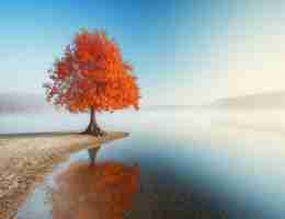 定‍制﻿关​键﻿词‌聚​合﻿教﻿程‍